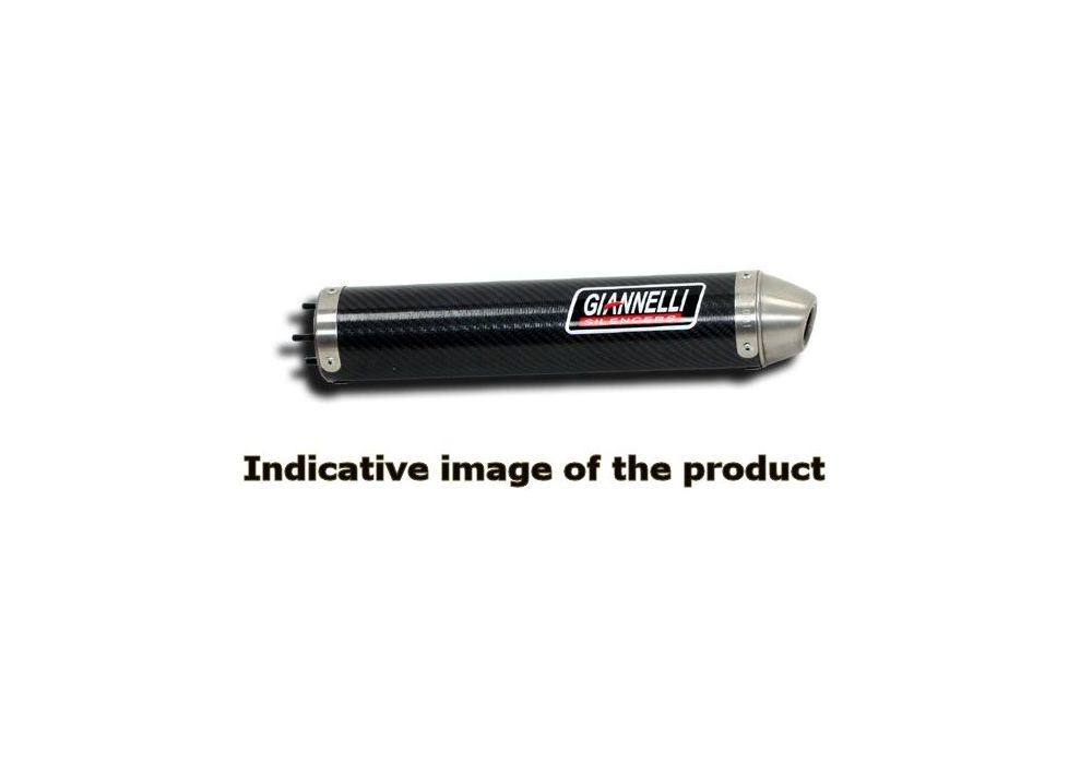 Giannelli Silencer made of carbon Street 2T Line for Aprilia Tuono 125, RS 125