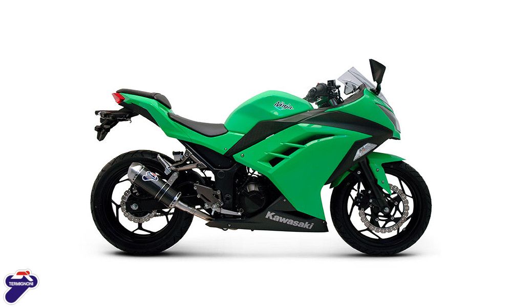 TERMIGNONI SILENCIEUX CARBONE RELEVANCE RACING KAWASAKI NINJA 300R